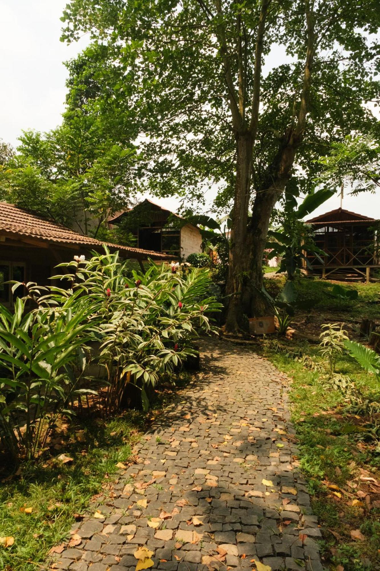 Roca Maria Helena-Principe Hotel Santo Antonio ภายนอก รูปภาพ